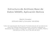 Estructura de Archivos Base de Datos MAMS; Estructura de Archivos de MAMS • Los archivos en Excel de MAMS; datos para calibración y escenario de referencia – “general” (MCS,