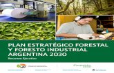 PLAN ESTRATÉGICO FORESTAL Y FORESTO ...valor a la producción forestal. − Amplias ventajas para la producción forestal: El patrimonio de Argentina consiste en 1,3 millones de hectáreas