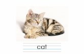 cat › ... › gaikokugo › files › cat.pdfAuthor 教育出版株式会社 Created Date 10/11/2016 1:04:42 AM