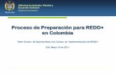 Proceso de Preparación para REDD+ en Colombia...información adecuada y las oportunidades de participación para todos los actores interesados. En Colombia desarrollo por las 5 ecoregiones
