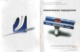 Министерство здравоохранения Украины › index.files › book › Terapevticheskaja_s... · 2012-10-11 · Острый пульпит развивается,