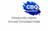 Introducción sistema Inmune/ Inmunidad Innata · Inmunidad activa y pasiva. CARACTERÍSTICAS DE LAS RESPUESTAS INMUNITARIAS ADAPTATIVAS. CARACTERÍSTICAS DE LAS RESPUESTAS INMUNITARIAS
