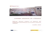 CONSEJO ANDALUZ DE CÁMARAS - Portal de Comerciocomercio.camarasandalucia.com › wp-content › uploads › 2016 › 11 › ... · 2017-06-29 · INTRODUCCIÓN - Plan de Apoyo al