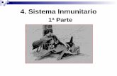 4. Sistema Inmunitario - WordPress.com · 8/4/2019  · interferones. Órganos Linfoides Primarios: Timo. Gato 13 años. Timectomía Ausencia de RIC = No rechazo injertos. Selección