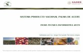 SISTEMA PRODUCTO NACIONAL PALMA DE ACEITE · VI. Problemáticas VIII. Metas ... representación nacional del Sistema Producto palma de Aceite, ante organismos públicos y privados.