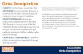 Grúa Semipórtico · 2020-05-15 · Grúa Semipórtico CLIENTE: FLINSA (Flejes Industriales, SA) ACTIVIDAD: Empresa familiar dedicada a la fabricación de flejes y tubos de acero