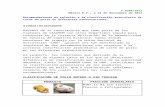 C & E Agentes Aduanales€¦ · Web viewT-0209/2013México D.F., a 21 de Noviembre de 2013 Recomendaciones en relación a la clasificación arancelaria de carne de pollo en diferentes