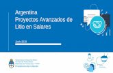 Argentina Proyectos Avanzados de Litio en Salaresinformacionminera.produccion.gob.ar/assets/datasets...Proyectos de Litio en 23 salares: 2 minas en producción. (ambas en expansión)