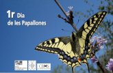 16 de juny de 2013 - Museu de Ciències Naturals · 2013-12-11 · les papallones que realitzen altres institucions i col·lectius, tot pensat perquè pugueu participar en aque-lla