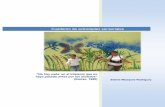 Cuaderno de actividades sensorialesCuaderno de actividades sensoriales Derechos reservados de autor 2017 3 Miller y Colaboradores (2007) explican tres patrones que incluyen desórdenes