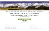 ELS ARBRES SINGULARS DEL PARC NATURAL DE L’ALT PIRINEU · 2011-04-01 · Els arbres singulars del PNAP 3 AGRAÏMENTS La realització d’aquest treball ha estat possible gràcies