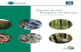 Estado de los Bosques en Europa - ICP Forests · Servicio de Sanidad Forestal y Equilibrios Biológicos Dirección General de Desarrollo Rural y Política Forestal Ministerio de Agricultura,