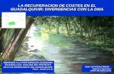 La recuperación de costes en el Guadalquivir: divergencias ... FASE/Jornadas... · (millones de euros/ aÑo) cuencas alta baja total guadalquivir 81 86 85 cuencas mediterraneas 25