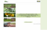 Planes Regionales de Desarrollo Agropecuario Principales Logros · 2016-05-09 · Rurales y Agricultura Rural y Cambio Climático y Gestión Agroambiental, señalando además, la