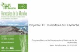 Proyecto LIFE Humedales de La ManchaRecuperación de estepas salinas mediterráneas (Limonietalia), hábitat prioritario (1510) en la Directiva Hábitats 92/43/CEE. Formaciones halófilas