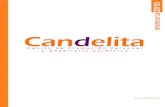 Índice - Candelitacandelita.org/wp-content/uploads/2013/10/... · (convocatoria2009) programa cualificaciÓn profesional inicial modalidad peluquerÍa curso sial nuevos horizontes