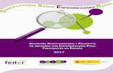 2017 - Federación Española de Enfermedades Raras | FEDER · necesidades de menores en situación o riesgo de exclusión social es fundamental a distintos niveles. Las enfermedades