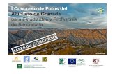 I Concurso de Fotos del Altiplano de Granada · Las fotos presentadas al concurso podrán ser divulgadas en diferentes formatos; exposiciones, páginas web, redes sociales, cartelería,