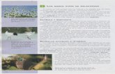 institutosanjosematerias.files.wordpress.com · Las plantas carnívoras del género Dionaea, por ejemplo, cierran brus- camente sus hojas cuando un insecto camina sobre ellas. El