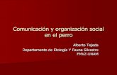 Señales de comunicación en el perro - UNAM · Tipos de comunicación auditiva Aullar Mantenimiento del territorio Localización de miembros del grupo Reconocimiento individual Coordinar