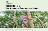 CIFOR REDD+: la transformación · REDD+: la transformación | vii 8.1 Derechos sobre el carbono: un dilema legal 105 8.2 El costo humano de defender el territorio y sus recursos
