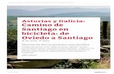 Asturias y Galicia: Camino de Santiago en bicicleta: de ... · Para completar la visita puede ser interesante documentarse sobre los numerosos edificios que rodean la plaza, así