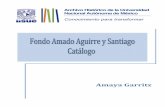 Índice Presentación, 2 Introducción, 3 · 2015-09-09 · 2 Presentación El fondo Amado Aguirre y Santiago fue donado por el doctor Álvaro Matute Aguirre, nieto del productor,