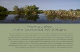 Humedales: Biodiversidad en peligroargentinambiental.com/wp-content/uploads/pdf/AA48... · tema de los húmedales en todo el mundo. PN: O sea que la Fundación Humedales tiene ori-gen