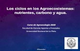Los ciclos en los Agroecosistemas: nutrientes, …...SJSarandon La agricultura y el ciclo de nutrientes La agricultura “modifica”los ecosistemas naturales con el fin de producir