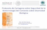 Protocolo de Cartagena sobre Seguridad de la Biotecnología ... · El PTB considera las acciones que mandata la LBOGM, en las que interviene más de una autoridad competente, y en