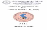Consejo Regional IV Junin – Colegio de Enfermeros … · Web viewLos partidos se iniciarán con un mínimo de cuatro (04) jugadores, con una tolerancia máxima de 05 minutos de