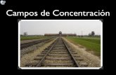 Campos de Concentracióndolores.eira.es/wp-content/uploads/2014/05/2SiCamposConcentraci… · •llegaban en trenes hasta la misma puerta del campo de concentración... • los separaban