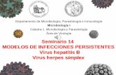 Seminario 14 MODELOS DE INFECCIONES PERSISTENTES Virus hepatitis B Virus … · 2020-06-08 · 1. Comprender las relaciones entre estructura y función de algunos virus que promueven