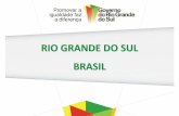 RIO GRANDE DO SUL BRASIL · ** No haydatosde PNAD en 2010 debidoa larealizacióndelCenso delIBGE R$ PIB pc (2001) €5.140,24 (2011) €6.627,79 (2013) €7.505,07. BRASIL 2003 –2014