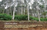 LIBRO BLANCO - secs.com.es...TRATAMIENTO DEL SUELO EN LOS LIBROS DE TEXTO DE ENSEÑANZA SECUNDARIA OBLIGATORIA Y DE BACHILLERATO EN ESPAÑA MEMORIA Disponible en línea en abierto