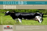 EL BOLETIN DE SEMEX, PRIMAVERA 2007 primavera 2007.pdf · EL BOLETIN DE SEMEX, PRIMAVERA 2007 Mejor calificación morfológica, mayores beneficios REPORTAJES Nuestras ganaderías