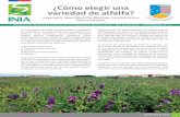 ¿Cómo elegir una variedad de alfalfa?biblioteca.inia.cl/medios/biblioteca/informativos/NR...(kgMS/ha) en la temporada 2016-2017 en la zona de tran-sición de Magallanes (Primer año