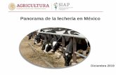 Panorama de la lechería en Méxicoinfosiap.siap.gob.mx/opt/boletlech/Brochure Boletín de...polvo1/, 2018 1/ Incluye fracciones de la subpartida 04.02.10.Fuente: SIAP con datos de