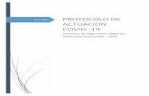 PROTOCOLO DE ACTUACION COVID -19 · Protocolo de actuación y plan de contingencia frente al Coronavirus Covid-19 Documento 1 Fecha 15/05/2020 Revisión 0 3 1. INTRODUCCIÓN Tras