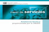 Asistencia técnica proporcionada por la ONUDD · Mediano Plazo de la ONUDD. Este documento enumera los servicios disponibles y las herramientas que pueden ser utilizadas. Nuestro