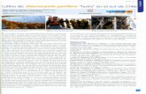 VD Enero 2012 algas desde bancos naturales ha …i-mar.cl/wp-content/uploads/2017/04/GUTIERREZ-2012.pdfpyrifera (Laminariales; Phaeophyceae) in northen Chile on spore- based culture.
