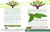 Asociación Amigos de la STEVIA ANDALUZA Asociación Amigos … · 2012-07-27 · Asociación Amigos de la Stevia Andaluza CULTURA STEVIA PO DE EXPERIENCIAS Nº3 STEVIA ANDALUZA Asociación