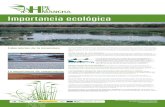 Humedales de La Mancha Importancia ecológica · Humedales de La Mancha Importancia ecológica Los humedales esteparios son auténticos laboratorios de la naturaleza, donde se dan