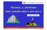 Biorefinarias[1]. FOELKEL. Nova Prata.ppt - pdfMachine ... ·   Fonte: ORNL, 1998