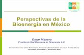 Perspectivas de la Bioenergía en Méxicobio3.uson.mx/docs/OMasera_BIO3_2008.pdf · Referente Nacional e Internacional en el tema de la Bioenergía en México Actualmente tenemos