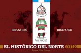 GRANADERO - Braford · Este año nuevamente, compartimos este evento con Cabaña “San Marcos” de Luis A. Cuadrado, criadores de la ... nomegalia y/o hemoglobinuria. El exámen