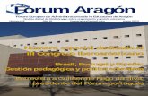 Forum Aragón 8 - FEAEfeae.eu/doc/ara/revista_digital_forum_aragon_8.pdf · 2014-03-23 · so, la merienda de navidad, los esta-tutos, la propuesta de nuevos nom-bramientos. Noticias