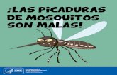 Las picaduras de mosquitos son malas - Unidad …prvectorcontrol.org/wp-content/uploads/2017/03/Deten-El...transmitir virus como el del Nilo Occidental, dengue, chikunguña, zika y