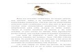 Guía de Fauna de Valverde del Camino T.E. Valverde Verdevalverdedelcamino.eu/repositorio/valverdeverde/fauna/aves.pdf · Guía de Fauna de Valverde del Camino – T.E. Valverde Verde