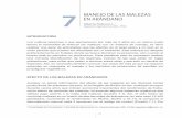 MANUAL DE ARÁNDANO 7 MANEJO DE LAS MALEZASEN …biblioteca.inia.cl/medios/biblioteca/boletines/NR39100.pdf · reporta competencia por los agentes polinizantes que pueden ser más